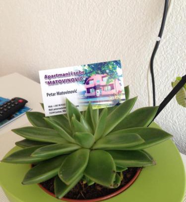 Lovinac House | Pet-Friendly Retreat at Sobe Matovinović - Rated 9/10