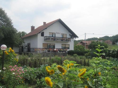 Karlovac House | Pet-Friendly Sobe Zimmer Rooms Nika with Ocean Views
