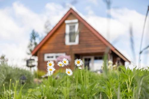 Utena county House | Discover Sodyba Paukščių Takas: 4-Star Oceanfront Escape