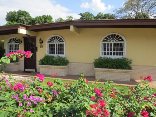 Panama City Hotel | Discover Sofia's B&B Hostal Boutique - Pet & Child Friendly