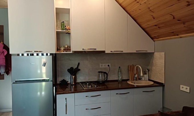 Bakuriani Apartment | Experience Sofia Snow Forest in Bakuriani: Pet-Friendly Stay