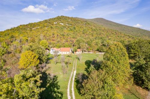 Municipality of Gracac Resort | Discover SOKOL: Pet-Friendly Forest Retreat with Hot Tub