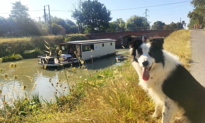 Casseneuil Boat Rental | Experience the Solar Boat on Garonne Canal from Moissac