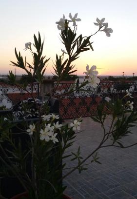 Ferreira do Alentejo House | Discover Solar Dos Viscondes: Cozy Retreat with Dining