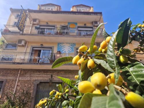 Villagonia Bed & Breakfast | Sole Mare Giardini Naxos