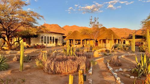 Solitaire Cabin | Serene Solitaire Mountain Lodge with Oceanfront Pool