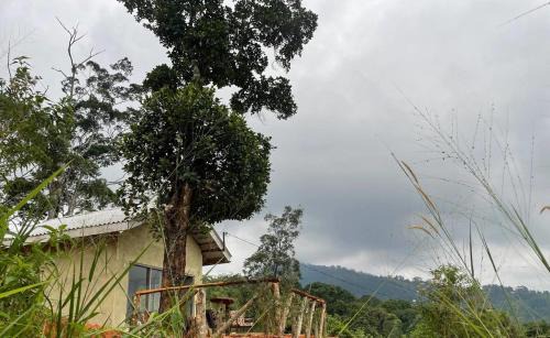 Gomara Cabin | Guest Rated 10/10: Solitary Cottage Dunhinna for Families