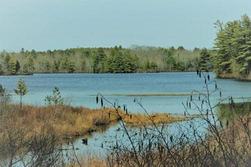 Mount Desert House | Charming Somes Pond Island Cottage with Family-Friendly Amenities