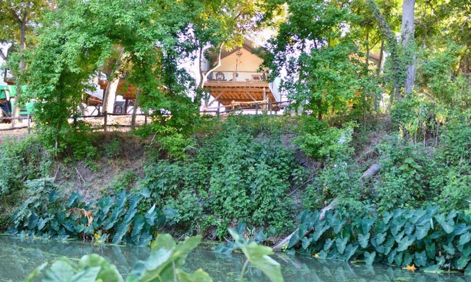 Sutherland Springs House | Explore Son's Rio Cibolo Birdhouse Cabin #22 by the Creek