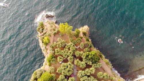 Piano di Sorrento Resort | Discover Sopramare Resort: Pet-Friendly Oceanfront Retreat