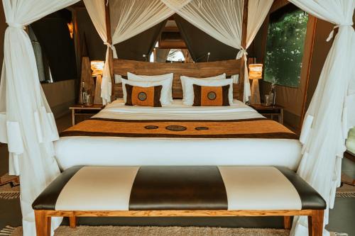 Mara North Conservancy Other | Experience Soroi Luxury Migration Camp: Ideal for Families
