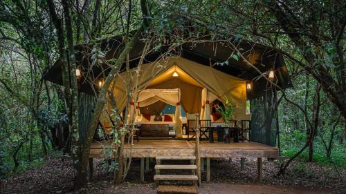 Mara North Conservancy Other | Experience Serenity at Soroi Mara Bush Camp Retreat