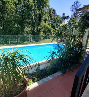 Viseu House | Relaxing Stay in the City with Pool & Pet-Friendly Options