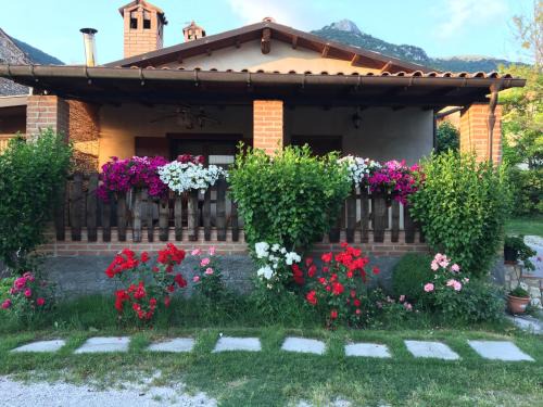 Barete Apartment | Pet-Friendly Retreat at Sotto L'Arco with Great Reviews
