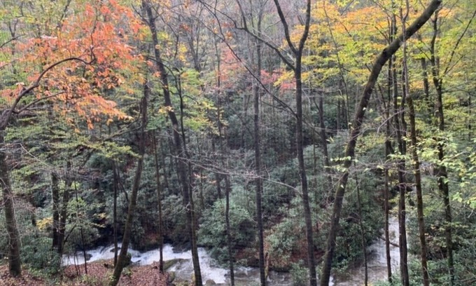 Otto House | Riverside Retreat: Hot Tub, Hiking Trails & Pet Friendly