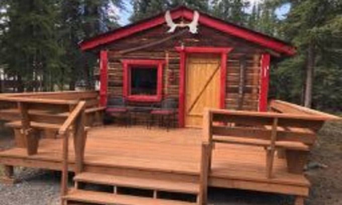 Tok Cabin | Pet-Friendly Sourdough Cabin - Guest Rated 10/10 Stay
