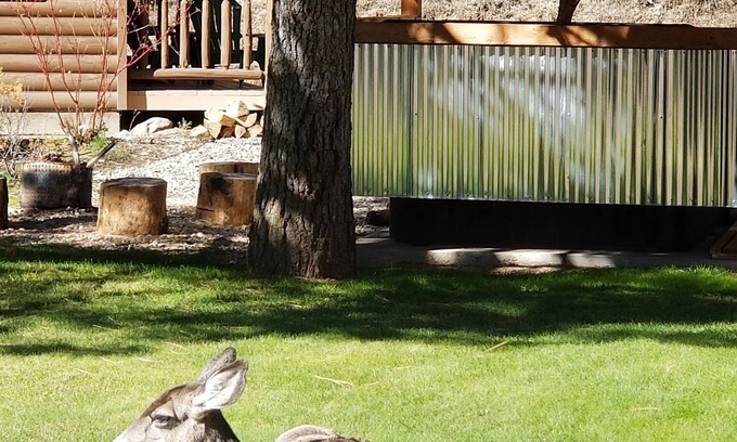 Lowman Hotel | Discover Sourdough Lodge: Family-Friendly with Pool & Hot Tub