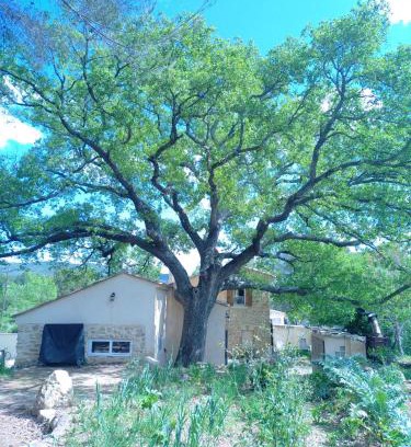 Lambesc House | Charming Room Under a Centuries-Old Oak with Garden Access