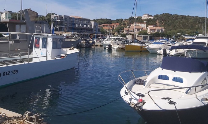 Serra-di-Ferro Apartment | South Corsica: Gorgeous T2 Apartment with Sea View & Pool