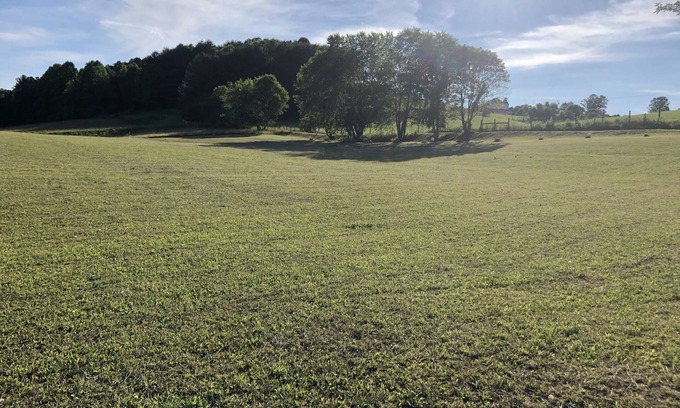 Abingdon RV Rental | Waterfront Camping at South Holston: Pet-Friendly Retreat