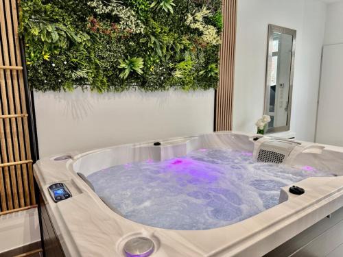 Viroflay House | Spa Jacuzzi Paris Val d Oise