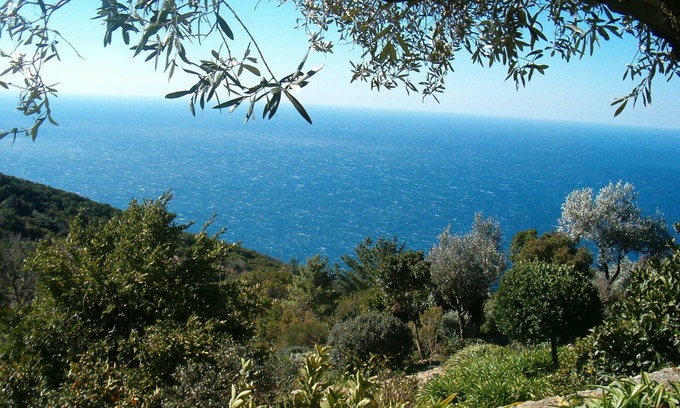 Pisciotta Apartment | Bright Oceanfront Room with Independent Access - 10/10 Rated