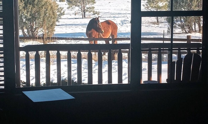 Heber Cabin | Unforgettable Cabin Retreat in White Mountains with Wild Horses