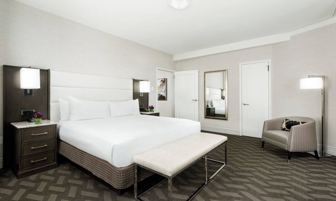 Downtown Boston Hotel | Discover a Pet-Friendly Oasis for Your Next Getaway