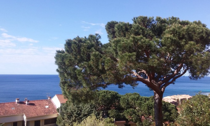 Ajaccio Apartment | Oceanfront Retreat on Sanguinaires Islands with Stunning Views