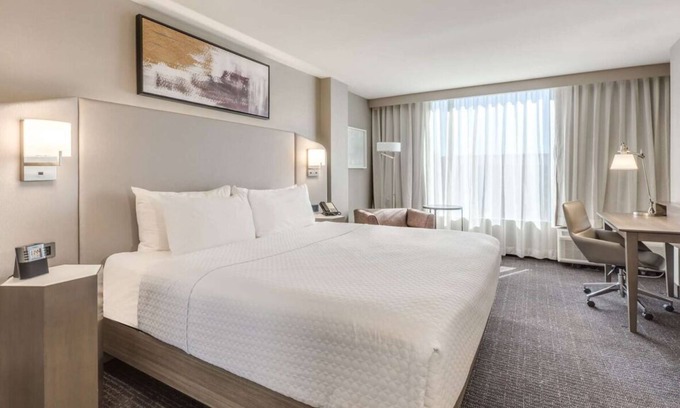 Downtown Denver Hotel | Budget-Friendly Stay with Pool Near Denver Art Museum