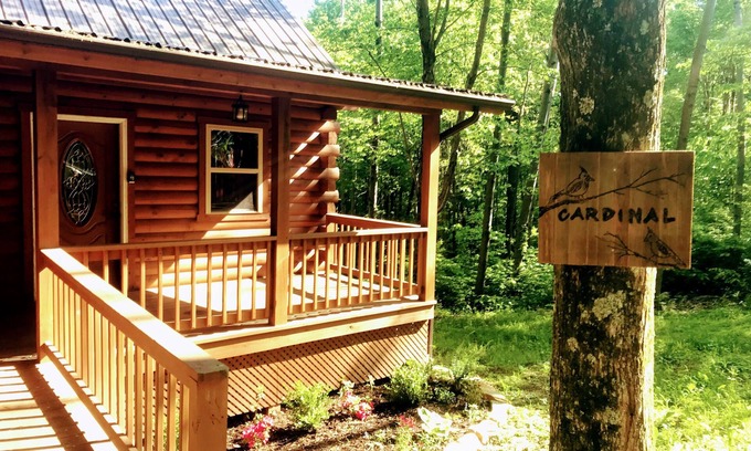 New Plymouth Cabin | Cozy Log Cabin with Jacuzzi & Fire Pit - Rated 10/10