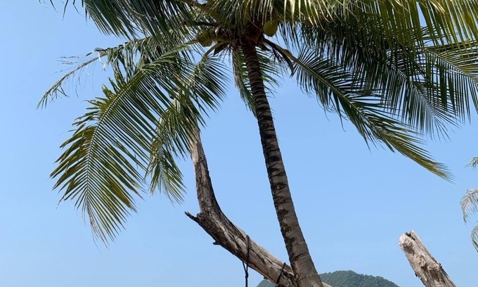 Ko Chang Villa | Private Pool Villa with Gardens and Ocean Views in Koh Chang