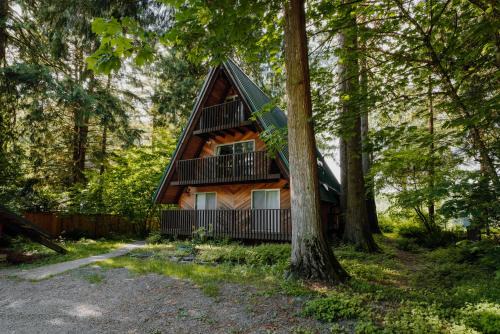Concrete Ski Chalet | Dog-Friendly North Cascades A-Frame with Mt Baker Views