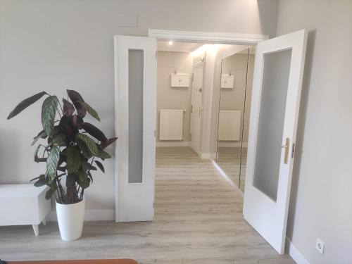Bilbao la Vieja Apartment | Spacious with free parking in Old Town-Casco Viejo