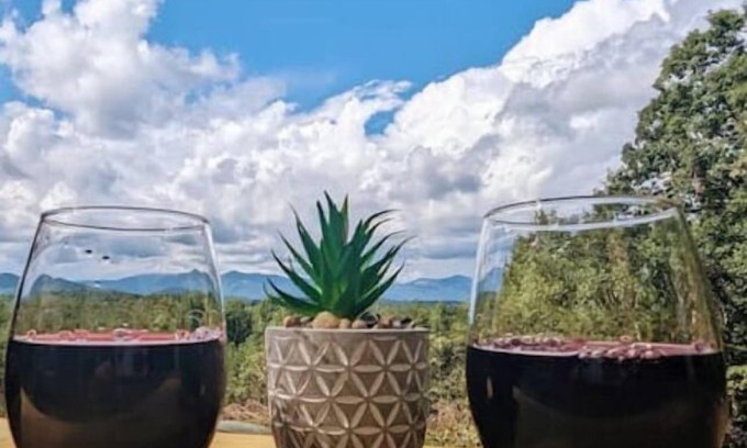 Pickens House | Mountain View Retreat: Award-Winning Tiny Home Escape