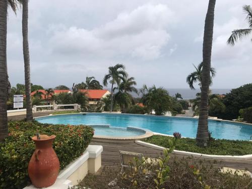 Piscadera Apartment | Gorgeous Oceanfront Studio with Pool & Kitchen Amenities
