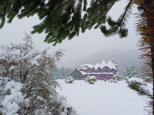 Malalcahuello Cabin | Spectra Lodge