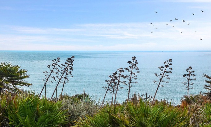 Gizzeria Apartment | Relaxing Beachfront Apartment with Ocean View Amenities