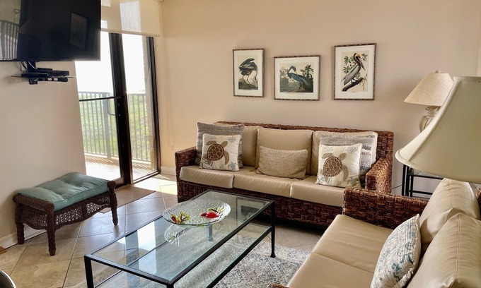 South Padre Island Condo | Ocean View Condo Steps from Isla Blanca Beach & Water Park