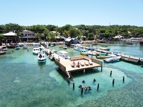Antoneys Cay Hotel | Discover Splash Inn Dive Resort & Villas with Oceanfront Views