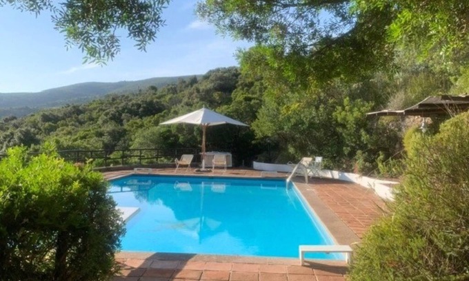 Porto Santo Stefano Villa | Splendid Villa surrounded by greenery with swimming pool.