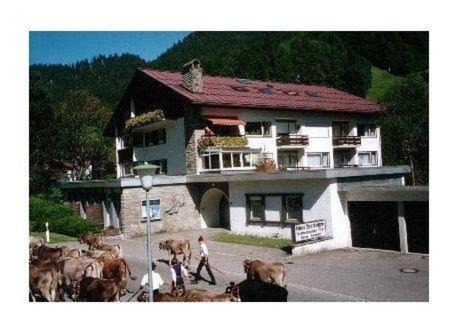Rappele Apartment | Pet-Friendly Sport-Alpin-Wohnung-9 for Family Getaways
