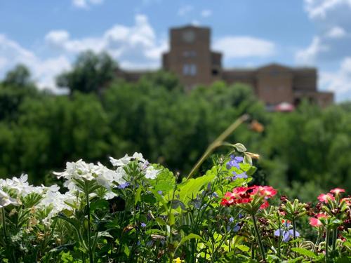 Veliko Tarnovo Apartment | Discover Veliko Tărnovo: Guest Rated 9.9 with Breakfast