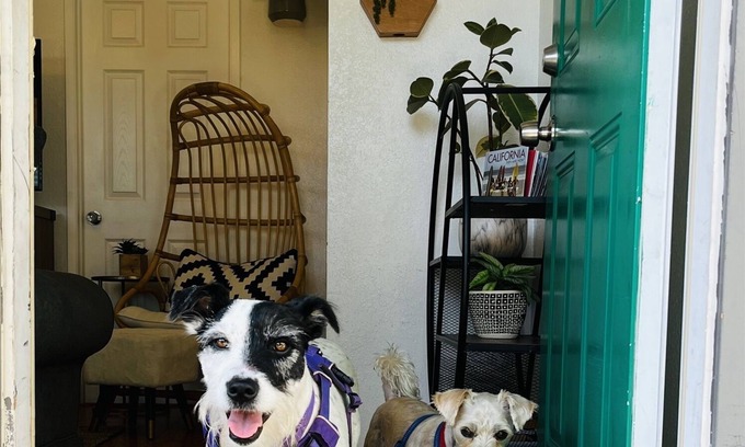 Point Loma Heights Cottage | Pet-Friendly Cottage Steps from the Beach with Ocean Views