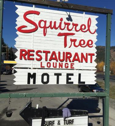 Leavenworth Hotel | Discover Squirrel Tree Resort: Pet-Friendly and Family Fun