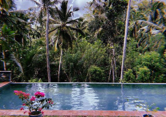 Bandaranayake Bed & Breakfast | Cozy Sri Mathie Cottage with Inviting Pool Retreat