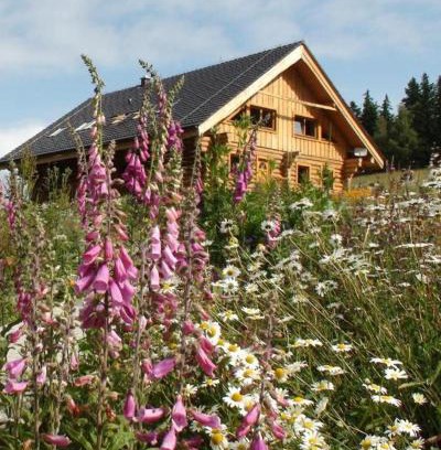 Svinna Apartment | Top-Rated Srub Javorná - Family & Pet-Friendly Retreat