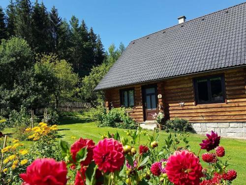 Vlceves House | Discover Srub Karpatský: Family-Friendly Retreat with Pool