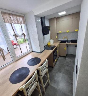 Ocna Mures Apartment | Ssalamandra Home's
