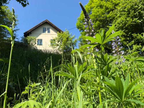 Stare Mesto Cabin | Stříbrná chaloupka Na Vyhlídce